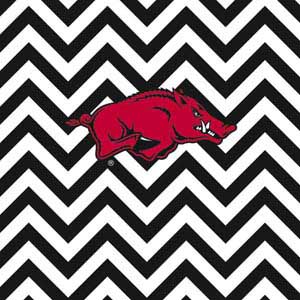 University of Arkansas-Fayetteville Chevron Print Cochlear Nucleus 6 Skin
